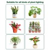 DOMMIA Grow Light, GU10 Full Spectrum Grow Light Bulb, 5W
