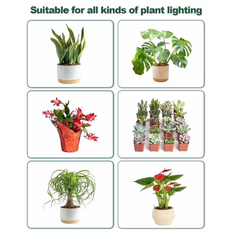 DOMMIA Grow Light, GU10 Full Spectrum Grow Light Bulb, 5W