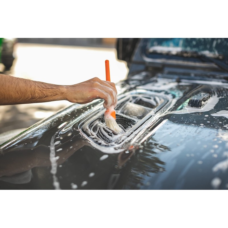 Detail Factory Boar Detailing Brush Set (red)