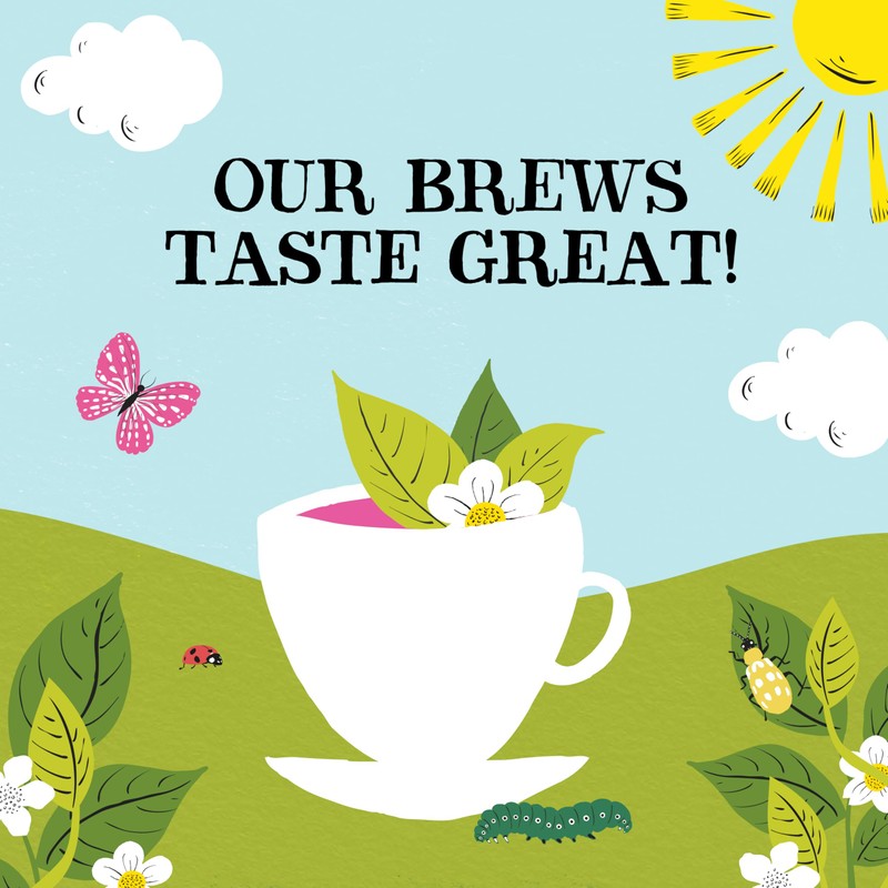 Clipper Tea: Organic Herbal & Green Tea Set, Gift Box