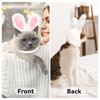 Cat Bunny Rabbit Ears Hat Costumes, Rabbit Ears for Dogs