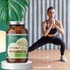 Astrágalo Adaptógeno Vegano en Cápsulas para Inmunidad y Energía
