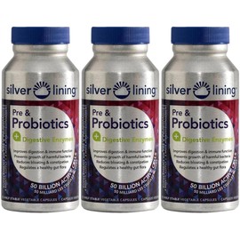 Silver Lining Pre & Probiotics + Digestive Enzymes | 50 Billion CFU/Active Cells | Digestion, Gut Health & Immune Function Support, Reduces Bloating | Shelf-Stable Formula | 180 Servings, 360 Capsules (Pack of 3)