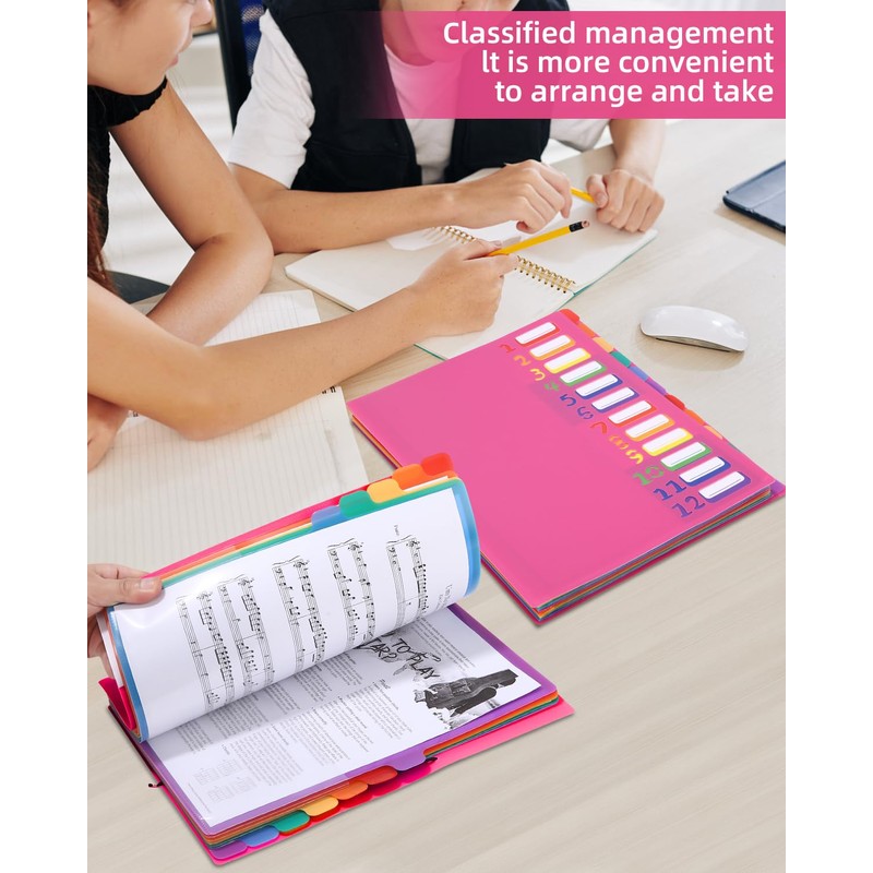 Document Folder A4, Portable Expanding Folder with 12 Compartments, with