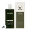 Effection Moisture Men's All-in-One Lotion Whitening Wrinkle Improvement Skin Barrier Moisture Moisturizing Large Capacity, 2 Pieces, 300ml / 에펙션 모이스처 남성 올인원 로션 미백 주름 개선 피부장벽 수분 보습 대용량, 2개, 300ml