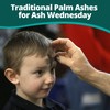 Concordia Supply Palm Ashes - Easy to Distribute, Pure Ash