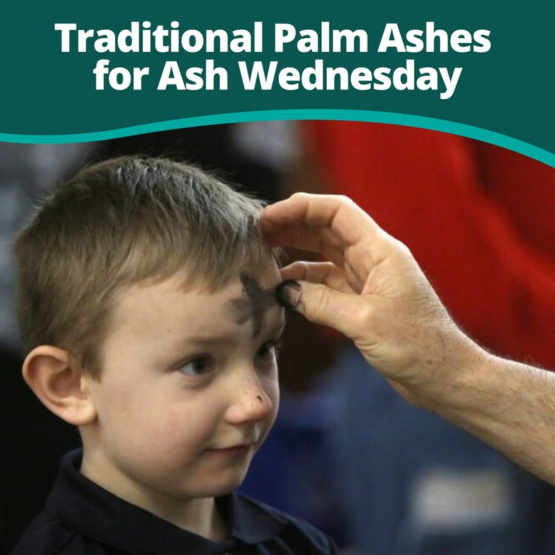Concordia Supply Palm Ashes - Easy to Distribute, Pure Ash
