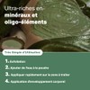Pack Seaweed Mud – Anti-Cellulite Activation Pack * Algae Activation