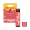 Burt's Bees Lip Tint Balm for Valentine's Day, with Long