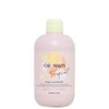 Inebrya Ice Cream Frequent Shampoo Uso Frequente 300 ml