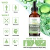 Baanaas Liposomal Liquid L-Theanine Drops | All Natural L-Theanine |