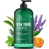 Botanic Hearth- Champú de árbol de té, vitamina C, aceite