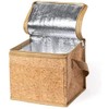 Begoon Cork Lunch Bag - Cool Bag - Shoulder Bag