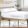 THREAD SPREAD 2-Pack Queen Size Sheets Set - 400 Thread