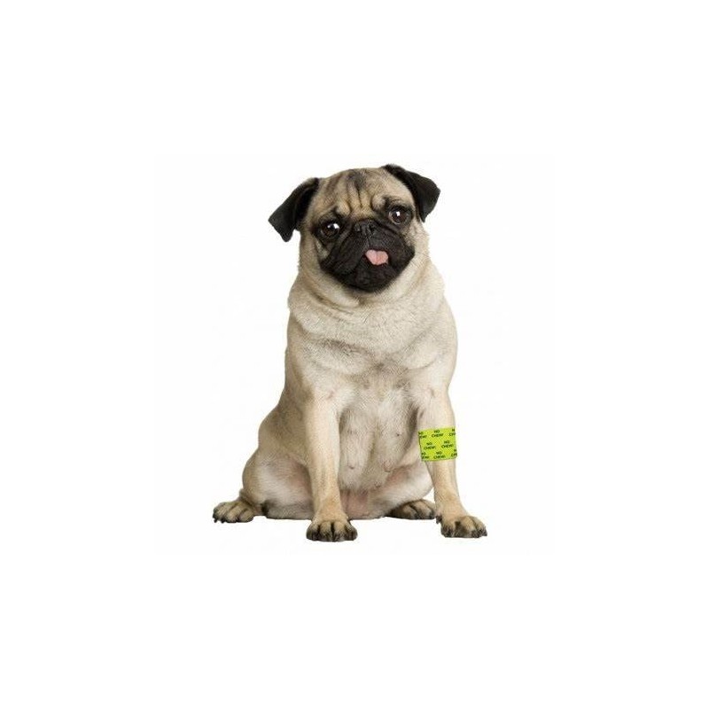 Andover (12 Pack) Petflex No Chew Pet Bandages, 2 Inch