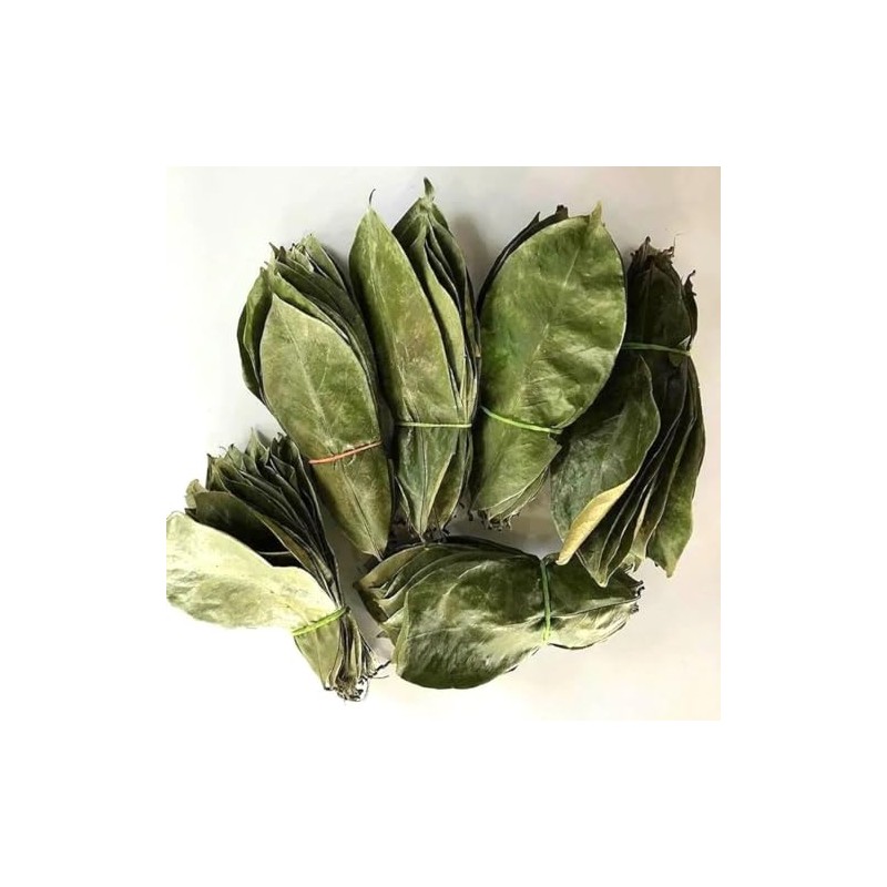 Wild Soursop Leaves – 100% Natural | Sun-Dried Herbal Tea