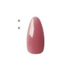 Dna Gel カラージェル N35 2.5g ローズハニー