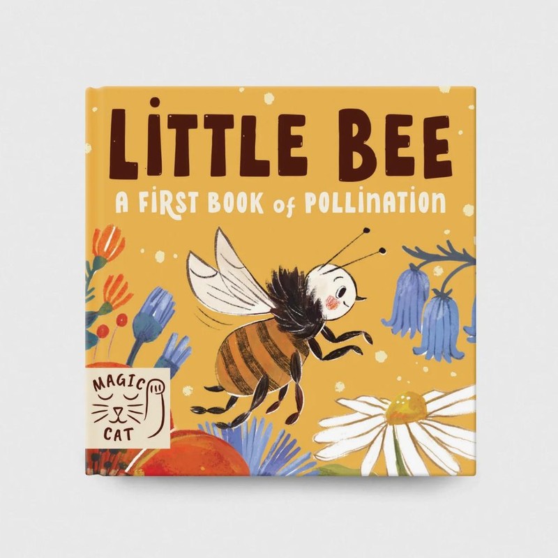 Books 5 Minute Nature Story Box