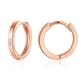 wynn's Silver Hoop Earrings for Women, 925 Sterling Silver Hoop Earrings Set, Unisex Small Sleeper Hoop Earrings, Rose Gold Hooped Huggie Cartilage Earrings for Women Men Girls (10mm)