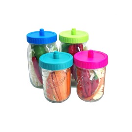 4 Pack Mason Jar Fermentation Pickle Pipes - Airlock Fermentation Lids Fermenter Caps for Wide Mouth Mason Jars （Jars Not Included）
