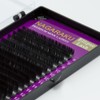NAGARAKU Flat Lash Eyelash Extensions with 2 Bristles for Eye
