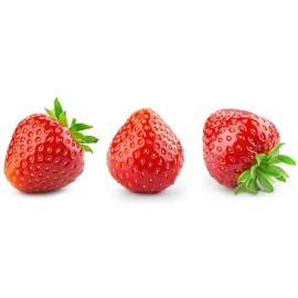 CZ GRAIN 200 Everbearing Strawberry Seeds to Grow Red Strawberry Vines Made in USA