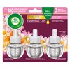 Airwick Plug In Scented Oil, White Flowers and Melon, Summer