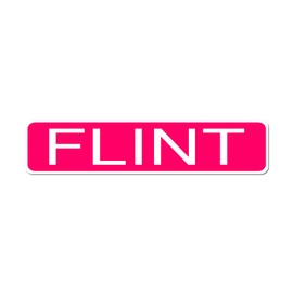 FLINT City Pride Neon Pink Vinyl on White - 4X17 Aluminum Street Sign