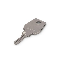 DIGITUS Professional DN-19 KEY-9473 Key, Silver