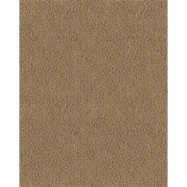 Championship Camel 8ft Invitational Felt with Teflon