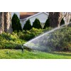 Rain Bird 42SASPG Gear Drive Rotor Sprinkler with Adjustable Spray