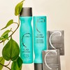 Malibu C Scalp Wellness Collection - Soothing Shampoo and Conditioner
