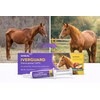 IverGuard Horse Paste 1.87%: Apple-Flavored Horse Paste, Up to 3086lbs,
