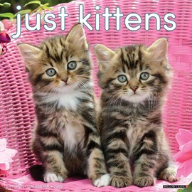 Willow Creek Press, Just Kittens 2026 Wall Calendar, 12'' X 12'', 18-Month Calendar with Stapled Binding