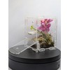 Jumping Spider Enclosure Starter Kit (Pink)