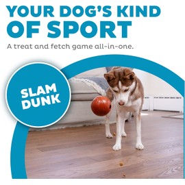 Outward Hound by Planet Dog Sport Ballz Basketball Durable Treat-Dispensing Fetch Ball Dog Toy