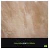 Meoded Paint & Plaster | Stucco Lamundo Venetian Plaster |