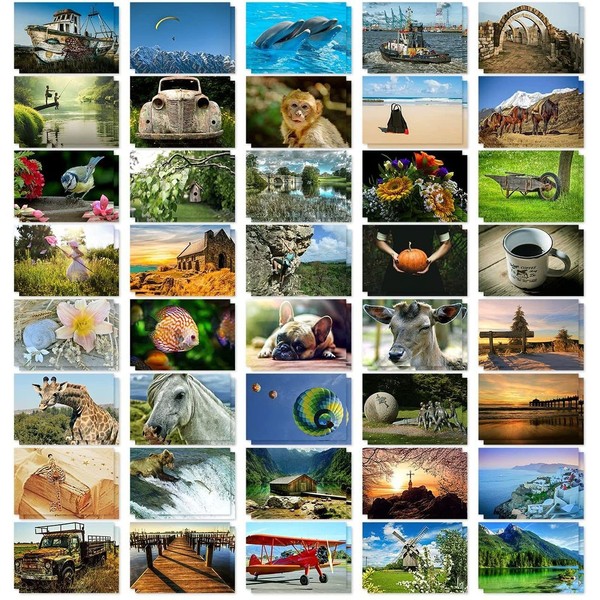 Best Paper Greetings 40 Pack Bulk Animal and Travel Postcards From Around the World for Mailing, Assorted Nature Thank You Notes (4 x 6 In)