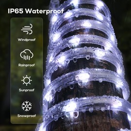 Soiarllt 100Ft 720 LED Rope Lights Outdoor Waterproof with Remote, 8 Modes and 4 Brightness Rope Lights for Outside, Garden, Patio, Pool, Bedroom, Party, Indoor Outdoor Decoration (Cool White)