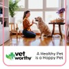Vet Worthy Paw & Nose Shield - Conditioning and Protection