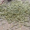 Green Tea Chinese Natural Rosemary Tea Herbal Tea Scented Tea