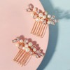 2 Piece Pearl Wedding Hair Comb Crystals Pearls Clips Bridal