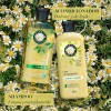Acondicionador Herbal Essences Manzanilla & Pasiflora 400 ml
