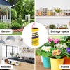 40 Pack Fruit Fly Traps for Indoors, Fly Traps Outdoor,