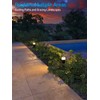 LEONLITE Low Voltage Path Lighting, 5W LED Landscape Bollard Pathway