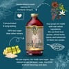Portland Syrups Genuine Root Beer Syrup - Premium Beverage Concentrate