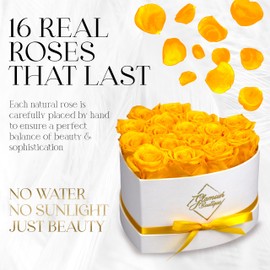GLAMOUR BOUTIQUE 16 Preserved Roses in a Box - Flowers Forever Valentine's Day, Roses Forever for Women, Roses Forever in a Box for Delivery, Birthday Gifts for Her, Yellow