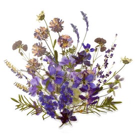 LELE LIFE 160 Pieces Plant Scrapbook Stickers, Transparent Flower Stickers Set, Flower Scrapbooking Stickers for Phone Pad Laptop Album Planner Diary Style D