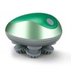 Mini Electric Head Scalp Massager Waterproof Portable Scalp Massager Rechargeable