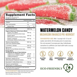 Ambrosia Kinetic Organic Preworkout, Mushroom Enhanced Natural Pre Workout Supplement, Nootropic Superfood Powder for Energy (Watermelon Candy)